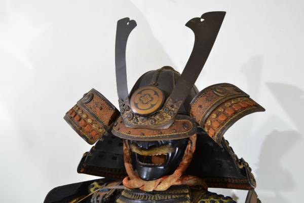4067. 等身大甲冑 丸に木瓜紋 大鍬形前立二枚胴具足 鎧櫃 / 武具(甲冑