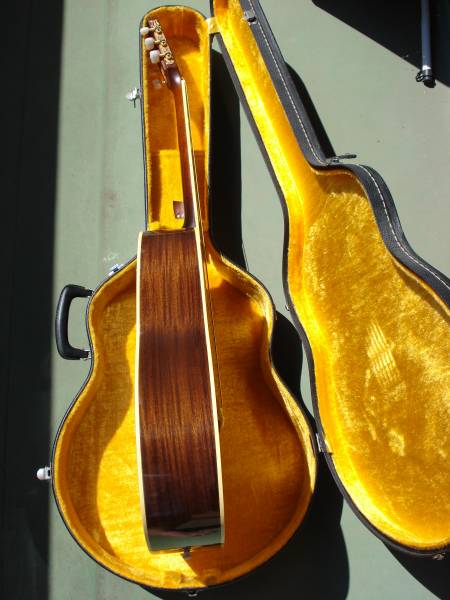 アコースティックギター Takamine TSN-10 オール単板(タカミネ)｜売買 