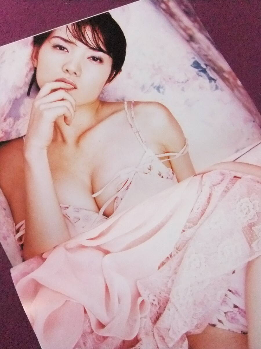 M.M.m.―本杉美香写真集 C.C.ガールズ 本杉美香写真集 M.M.m - メルカリ