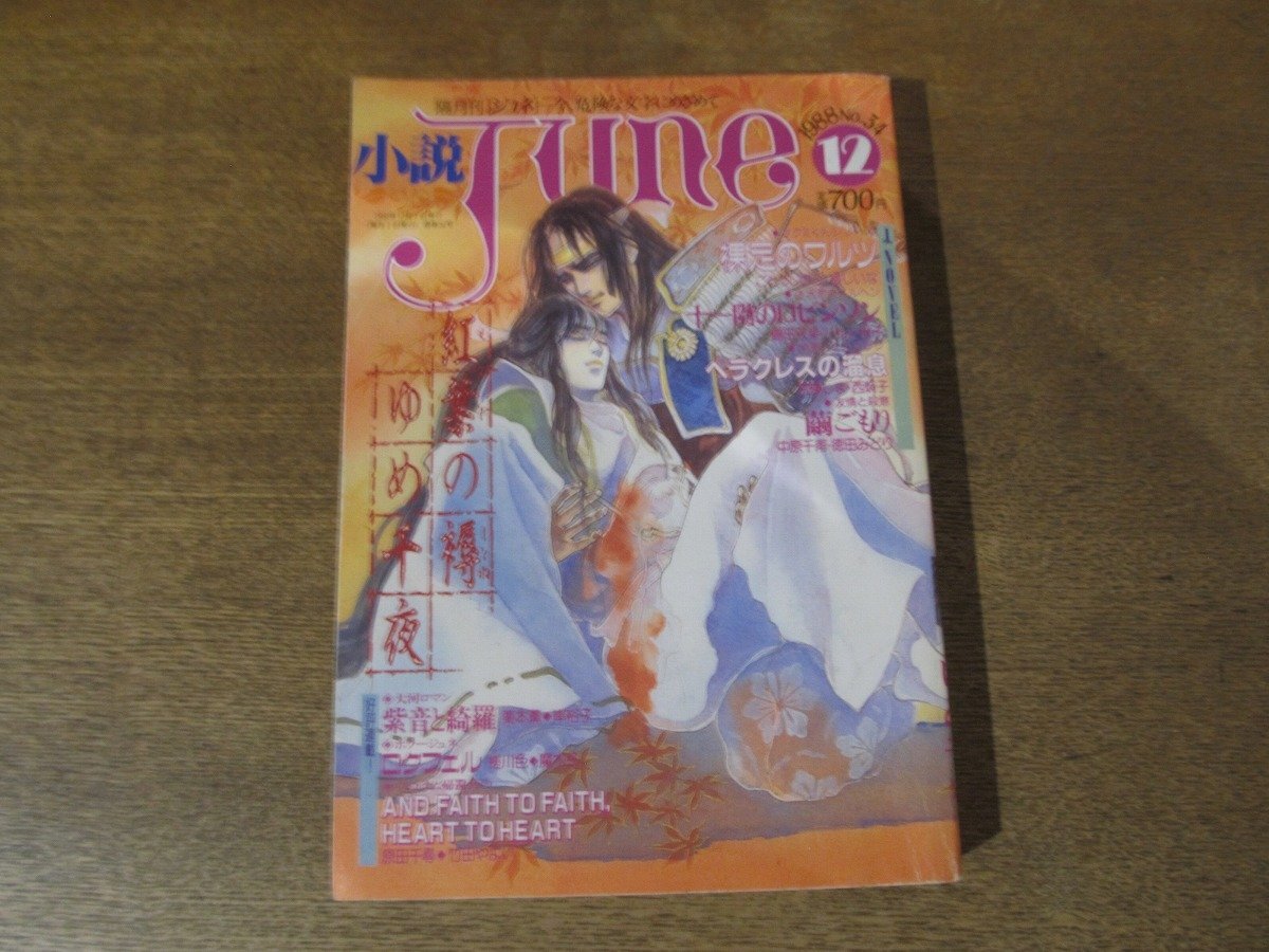 BL小説June全集 II 吉原理恵子