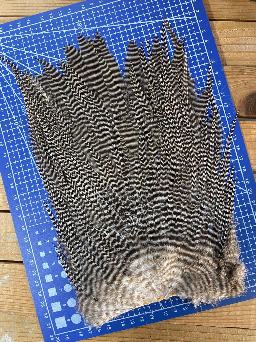 Ewing サドルハックル フライタイイング フライマテリアル フライ 