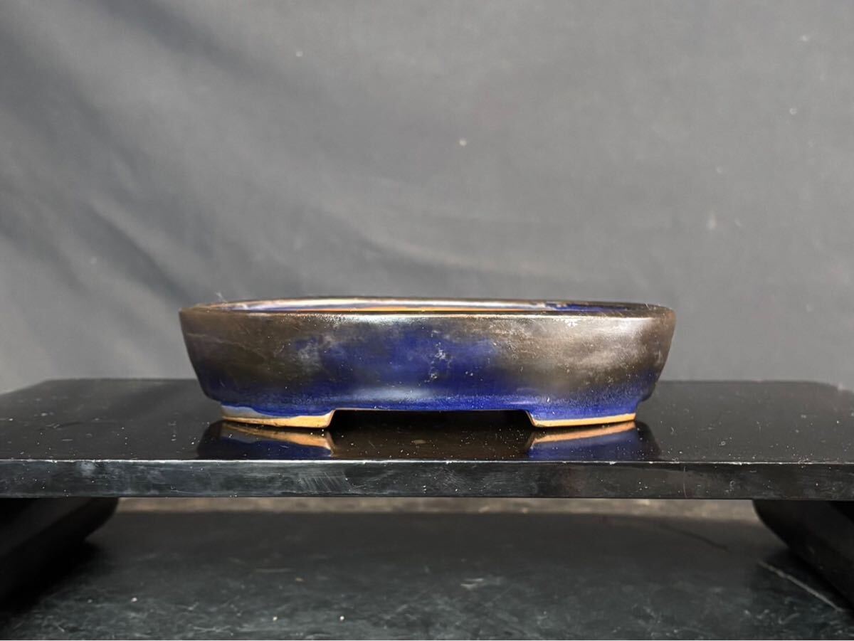 美芸 盆栽鉢 美芸 盆栽鉢 小品盆栽 懸崖鉢 楽天市場】盆栽鉢 懸崖の通販