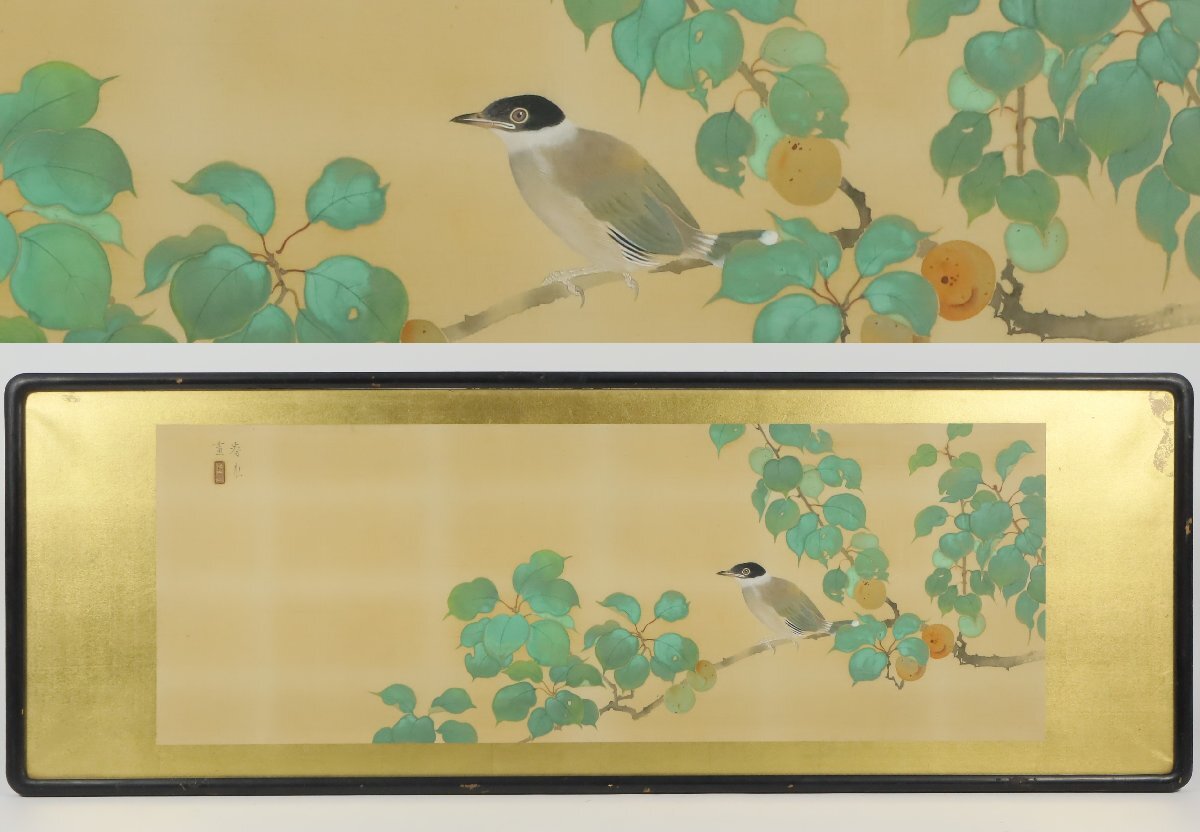 肉筆掛け軸紙本夏花、児玉希望画、作品年月日不明、共箱あり