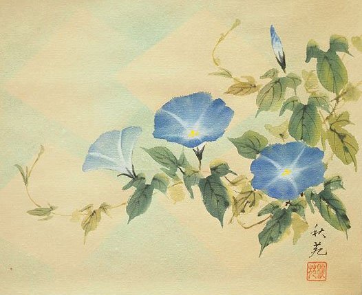 結】時代物掛け軸 ◇真作 肉筆 朝顔 奥田 秋苑 作 尺五幅横