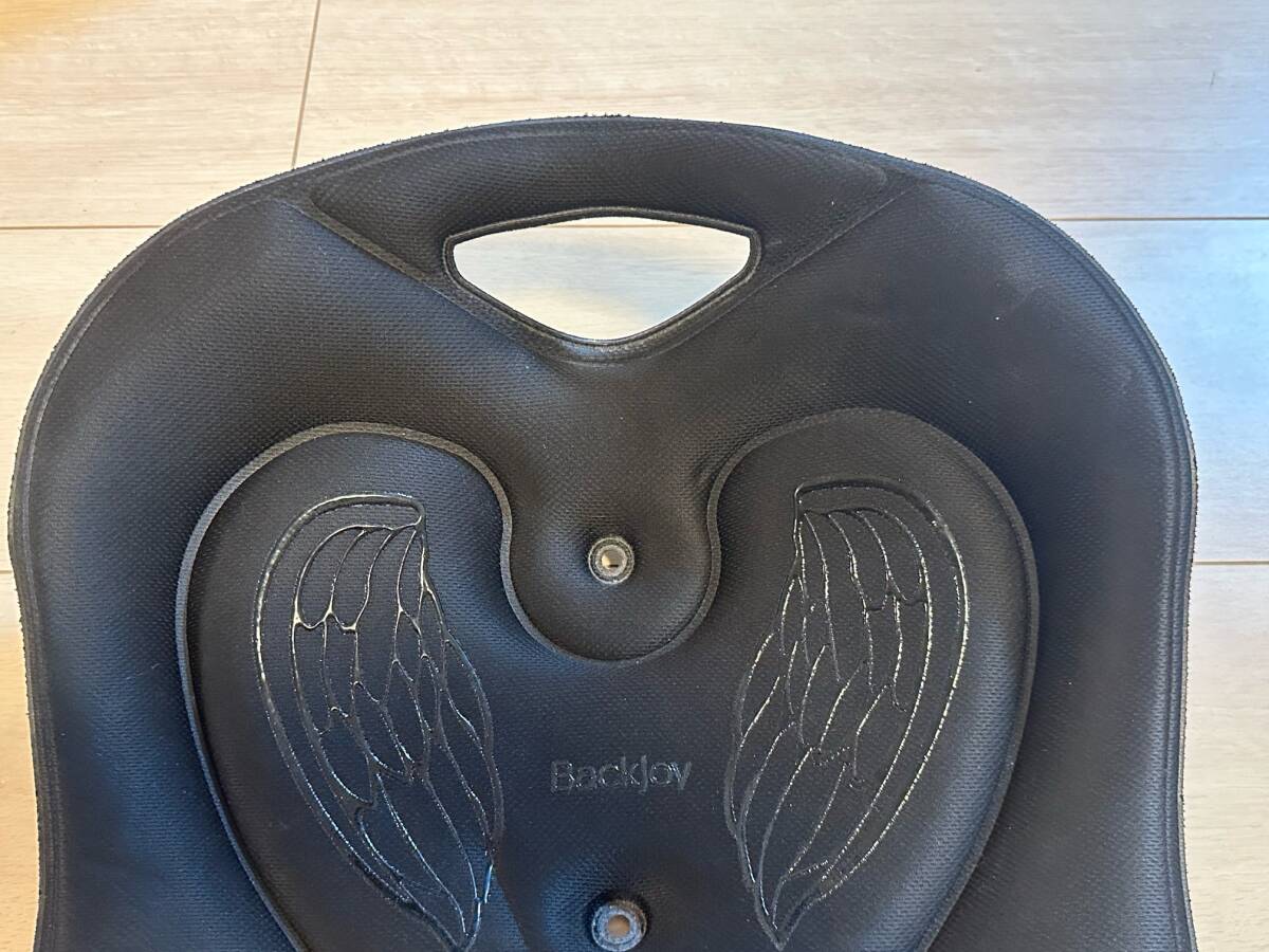 T0310 BackJoy バックジョイ メディコアリリーフ サイズミニ 骨盤 
