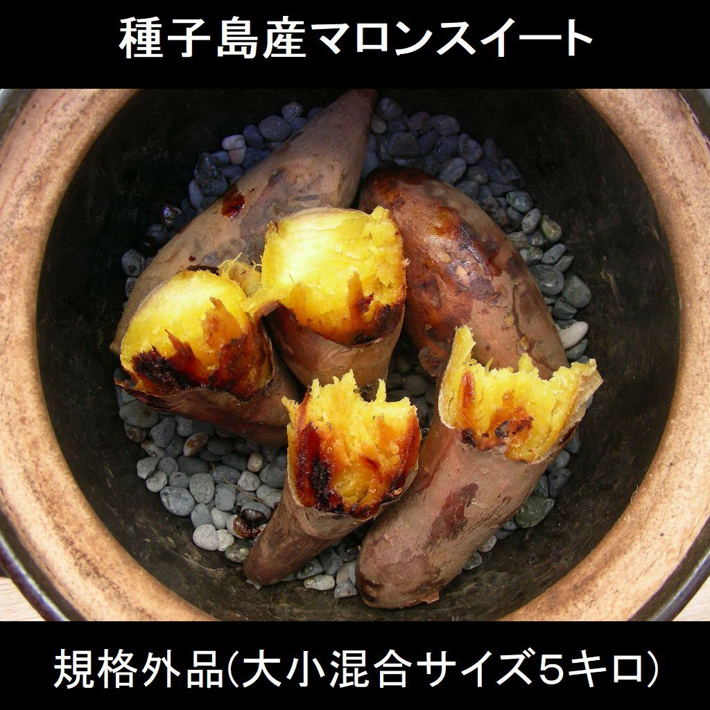 種子島産！安納芋より甘～いマロンスイート 訳あり規格外品 大小混合5キロ■送料無料■_1
