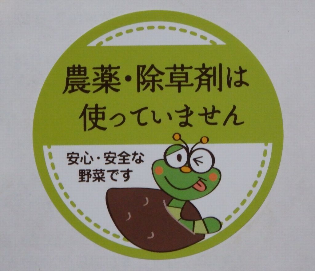 種子島産！安納芋より甘～いマロンスイート 訳あり規格外品 大小混合5キロ■送料無料■_3