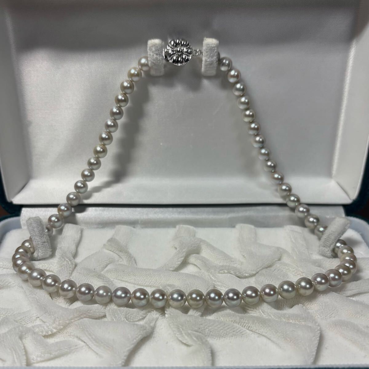 グレー本真珠 アコヤ真珠 あこや真珠 pearl パール ネックレス SILVER 