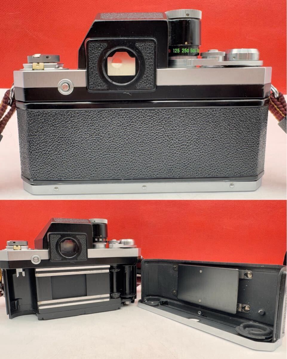 Voigtlander フォクトレンダー VITESSA / COLOR-SKOPAR 50mm F2.8