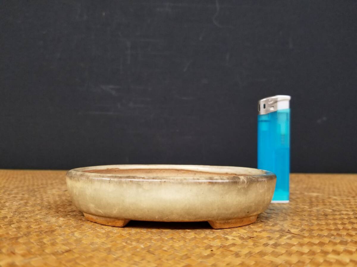 人気TOP 1 ◇盆栽幸◇一弘ー内縁楕円鉢 小鉢◇和鉢◇左右：12.7cmA-A