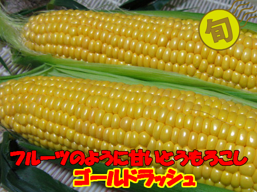 ゴールドラッシュ、送料無料、北海道産_1