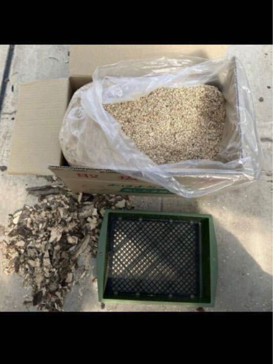 椎茸原木粉砕の昆虫マット　約40L 埋め込み発酵マットの基材自作派の方向にも　椎茸原木良質のカット屑　110サイズ段ボール満タン　千葉_1