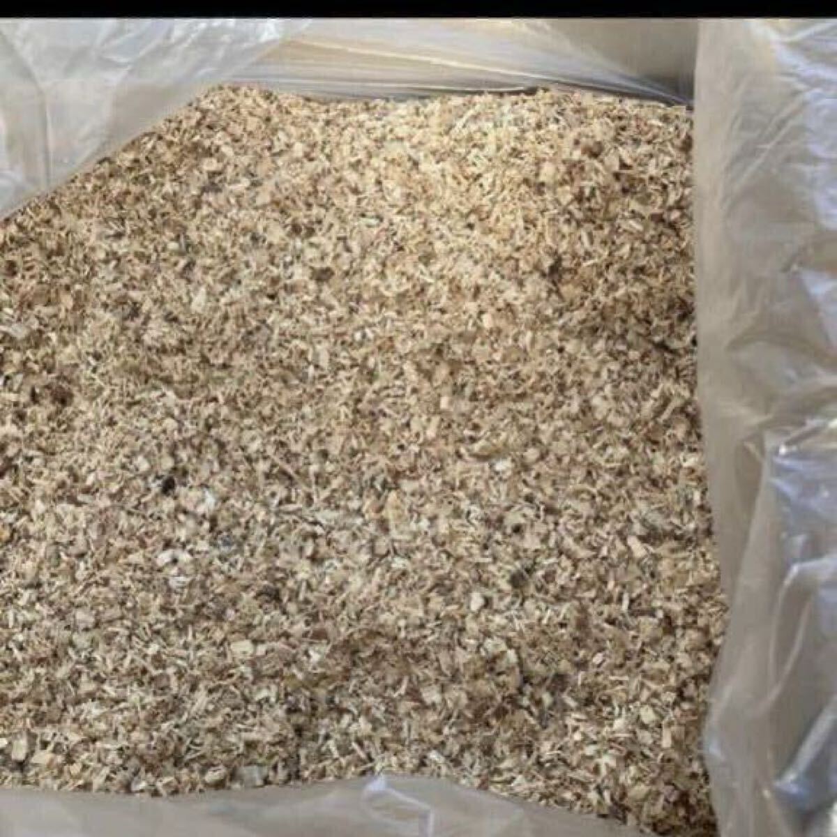 椎茸原木粉砕の昆虫マット　約40L 埋め込み発酵マットの基材自作派の方向にも　椎茸原木良質のカット屑　110サイズ段ボール満タン　千葉_2