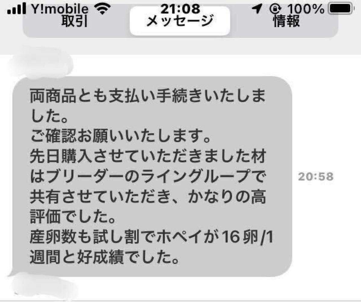 椎茸原木粉砕の昆虫マット　約40L 埋め込み発酵マットの基材自作派の方向にも　椎茸原木良質のカット屑　110サイズ段ボール満タン　千葉_7