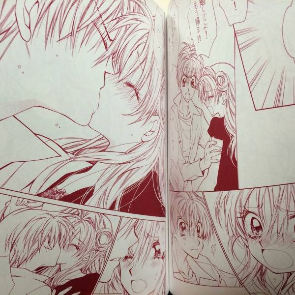 種村有菜 目黒帝国 神風怪盗ジャンヌ 同人誌2冊セット 即決(少女