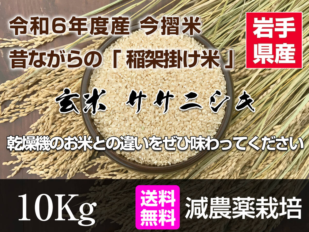 【今摺米】令和６年度 昔ながらの「稲架(はさ)掛け米」天日干し 岩手県産 ササニシキ 玄米 10Kg 送料無料!_1