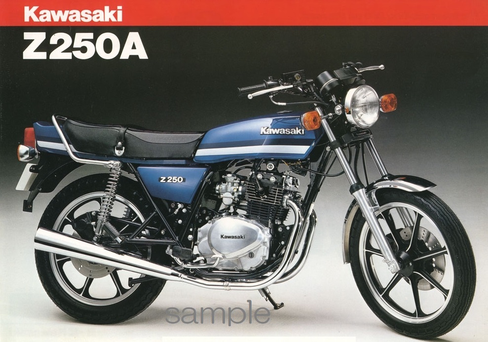 《Z250FT》　ダイヤフラム　1個　　43028-1023　　#K318_5