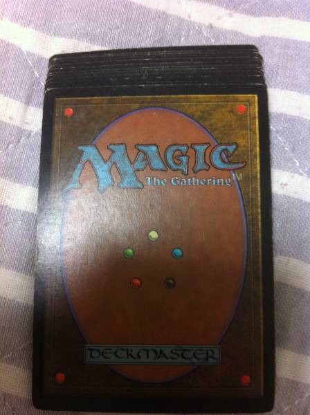 MTG APAC ランド 平地 ひまわり 13枚セット(トレーディングカード