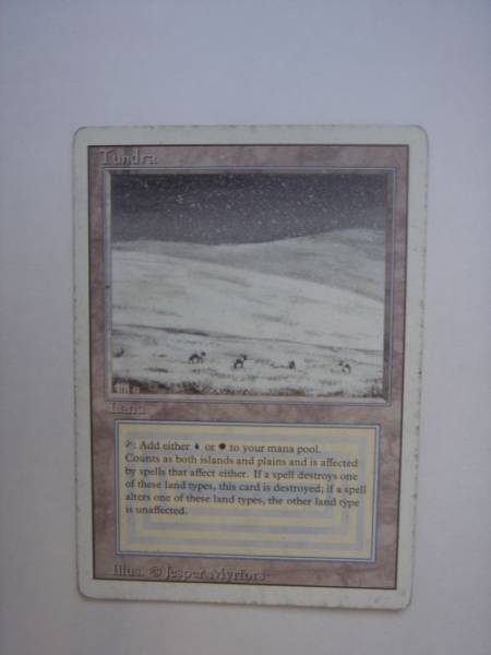 MTG Tundra RV 英語 デュアルランド GOOD～POOR 状態(土地)｜売買され