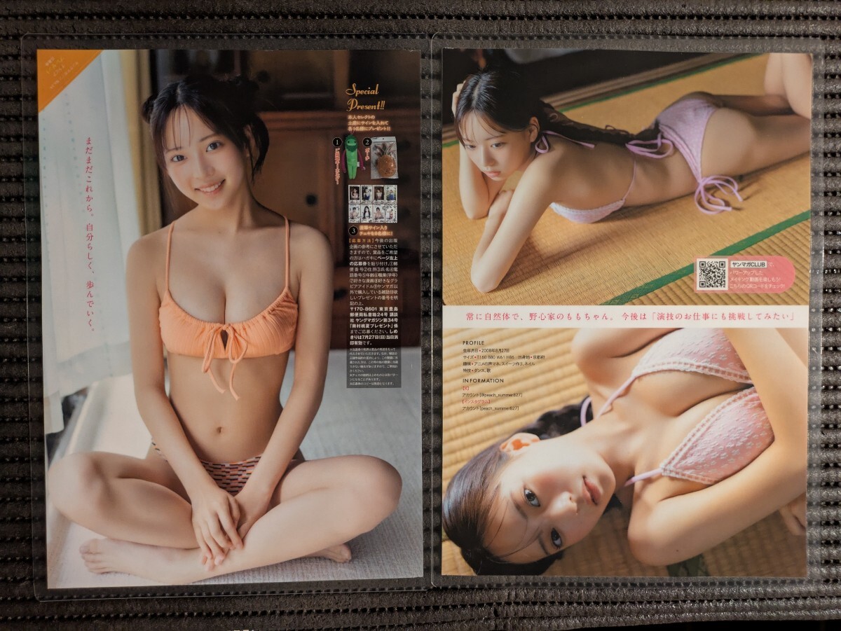 厚手150μラミネート加工/奥村桃夏】ヤングマガジン2025年No.34