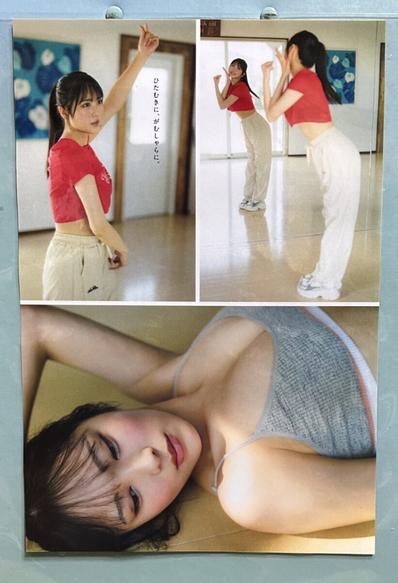♪逢田 珠里依♪切り抜き☆A4ラミネート加工☆週刊プレイボーイ☆2025