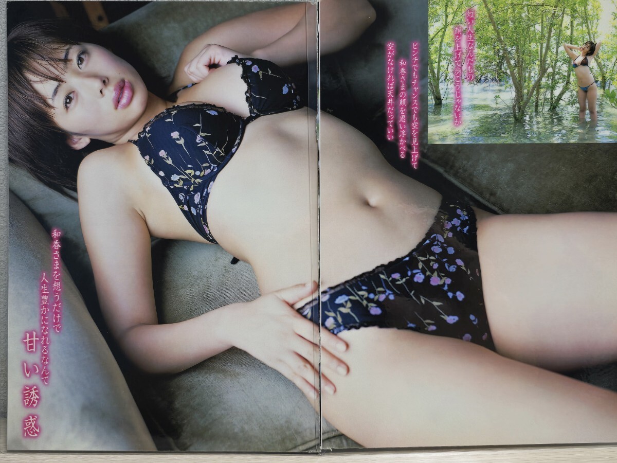井上和香】[150μmラミネート加工 切り抜き11ページ]ヤングマガジン