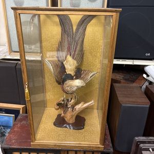錦鶏鳥 剥製の値段と価格推移は？｜1件の売買データから錦鶏鳥 剥製の