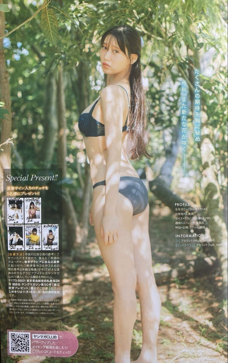 ヤングマガジン50号 藤江紗愛 はのんまゆ・すずめ（INUWASI）直筆