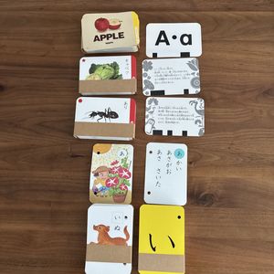 中央出版 トータル幼育セットの値段と価格推移は？｜1件の売買データ