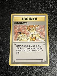 カスミのいかりの値段と価格推移は？｜31件の売買データからカスミの