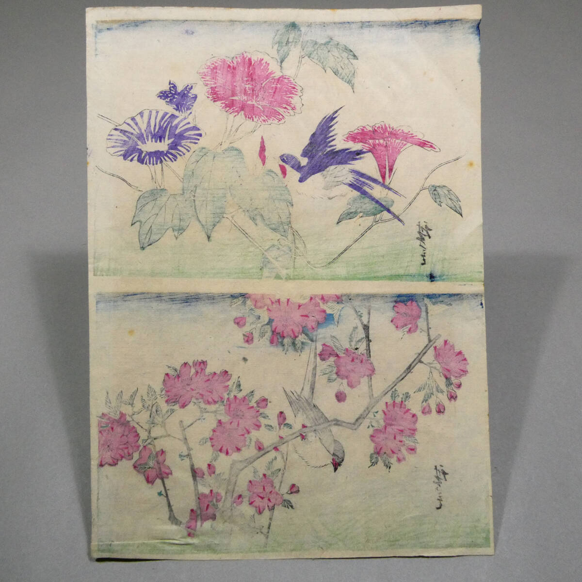 江戸時代　浮世絵　木版画　花鳥画 ◇初代 歌川広重◇江戸時代 木版浮世絵 二丁掛◇朝顔に燕 桜にコガラ