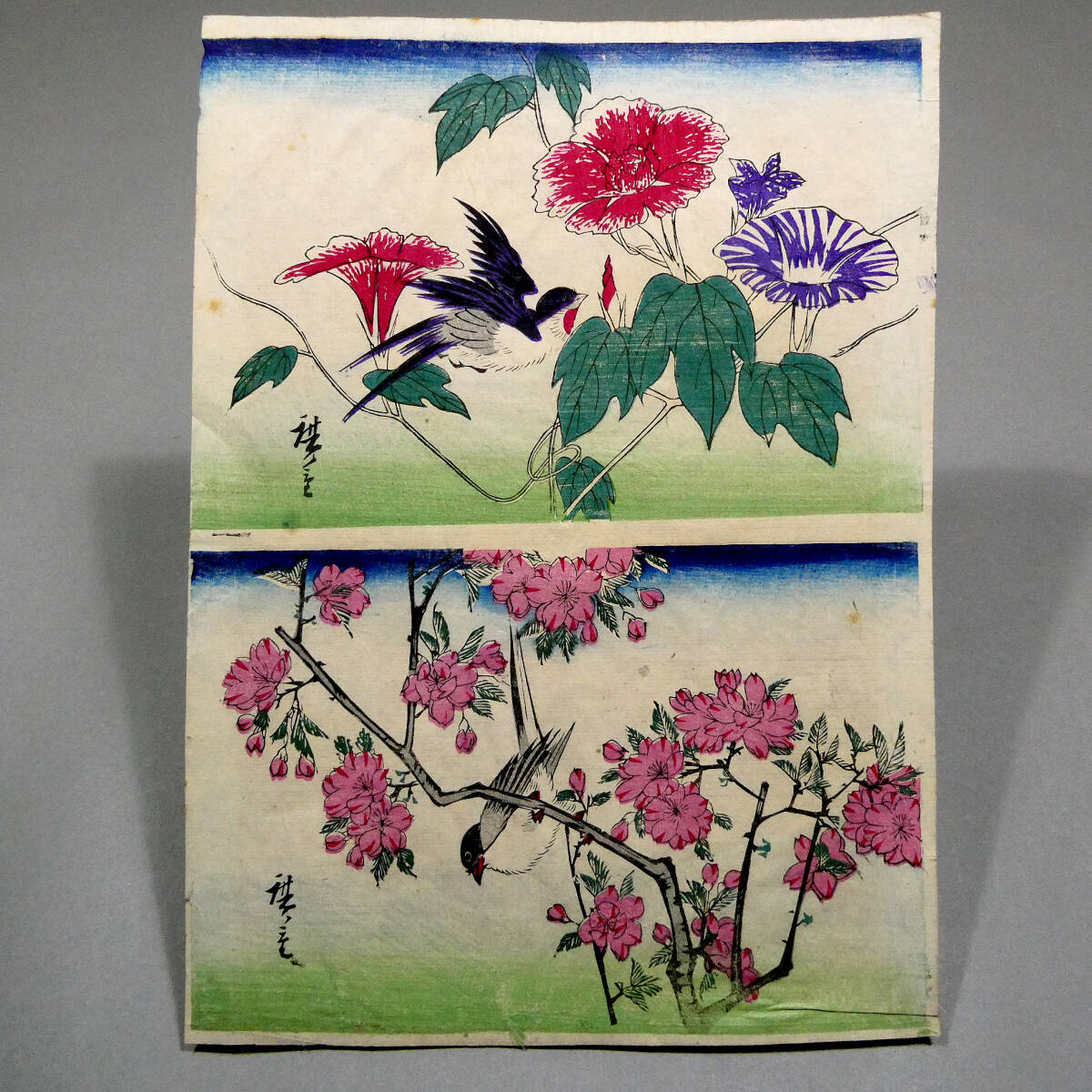 ◇初代 歌川広重◇江戸時代 木版浮世絵 二丁掛◇朝顔に燕 桜にコガラ