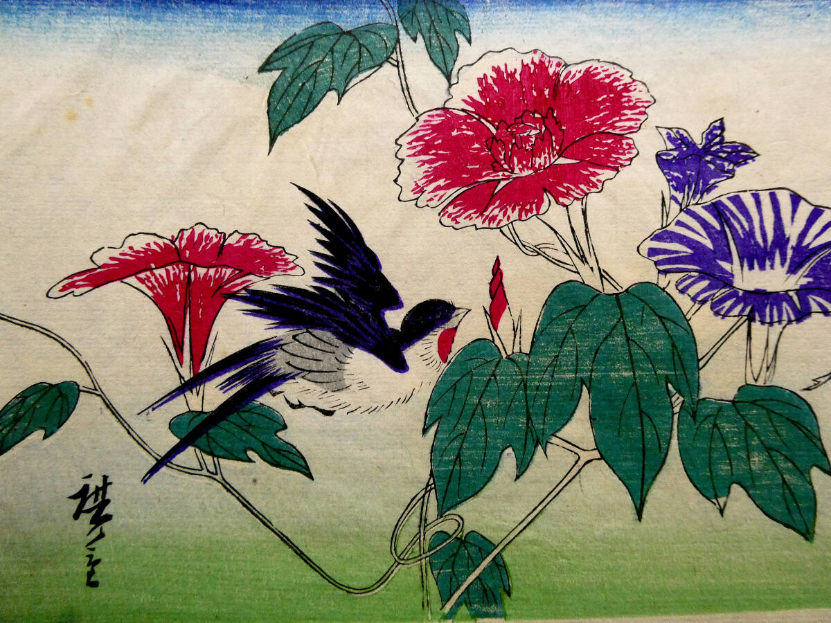 江戸時代　浮世絵　木版画　花鳥画 ◇初代 歌川広重◇江戸時代 木版浮世絵 二丁掛◇朝顔に燕 桜にコガラ