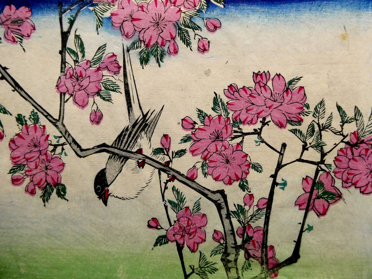 江戸時代　浮世絵　木版画　花鳥画 ◇初代 歌川広重◇江戸時代 木版浮世絵 二丁掛◇朝顔に燕 桜にコガラ