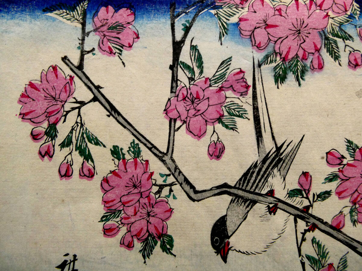 ◇初代 歌川広重◇江戸時代 木版浮世絵 二丁掛◇朝顔に燕 桜にコガラ
