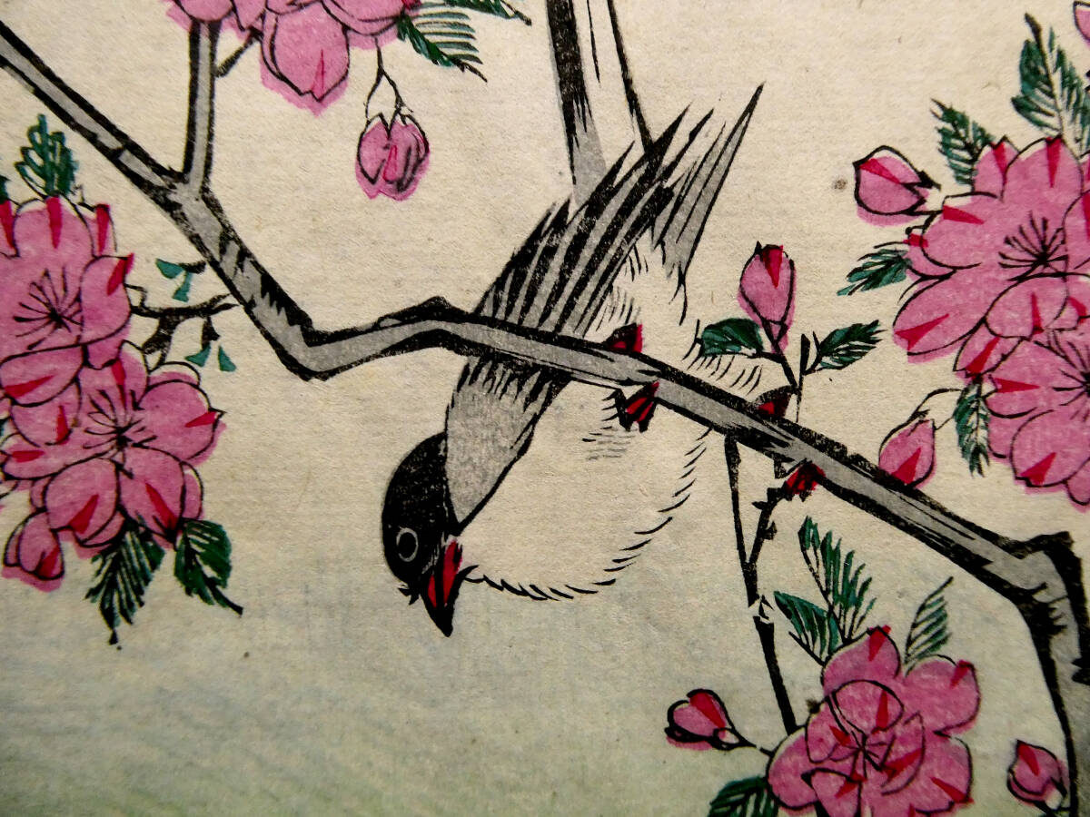◇初代 歌川広重◇江戸時代 木版浮世絵 二丁掛◇朝顔に燕 桜にコガラ