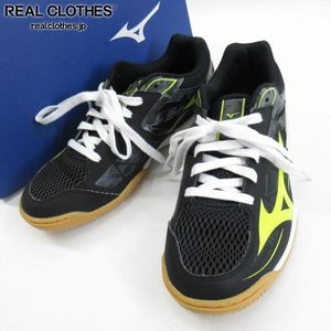 MIZUNO/ミズノ WAVE KAISERBURG 6/ウエーブ カイザーブルク6 卓球シューズ 81GA202045/24