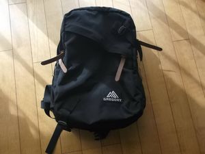 ☆GREGORY エブリデイ グレゴリー 65578-1041 美品☆