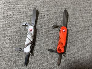 ウェンガー Wenger AP BLAZE / AP SNOW 2点セット