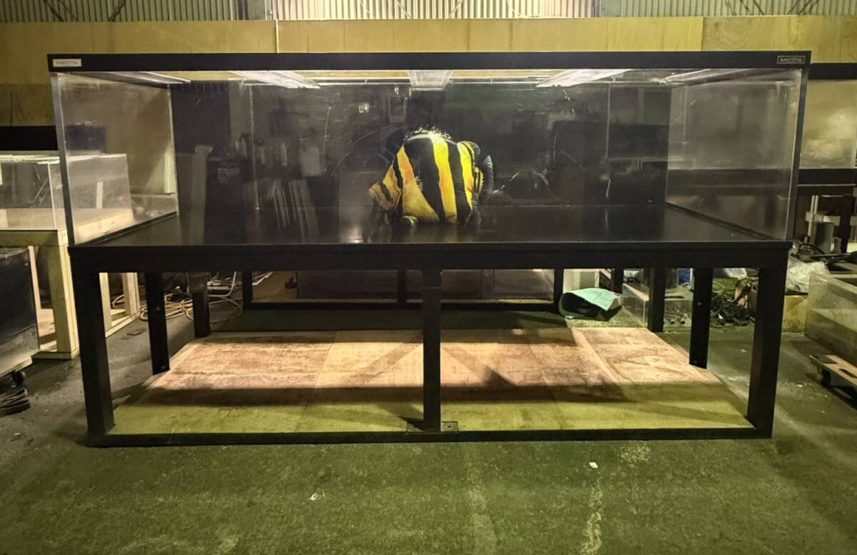 大型水槽の値段と価格推移は？｜62件の売買データから大型水槽の価値が