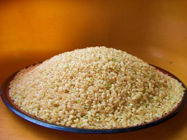 10Kg（完全無農薬/自然栽培米）秋田県産あきたこまち送料無料