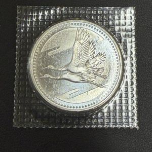 皇太子殿下御成婚 純銀の中古価格は11,004円｜記念硬貨の新品・中古の