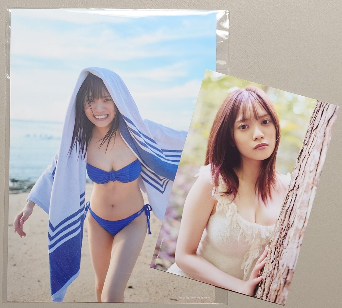 日向坂46 宮田愛萌 写真集『Lilas』 封入ポストカード＋A5判ビジュアル