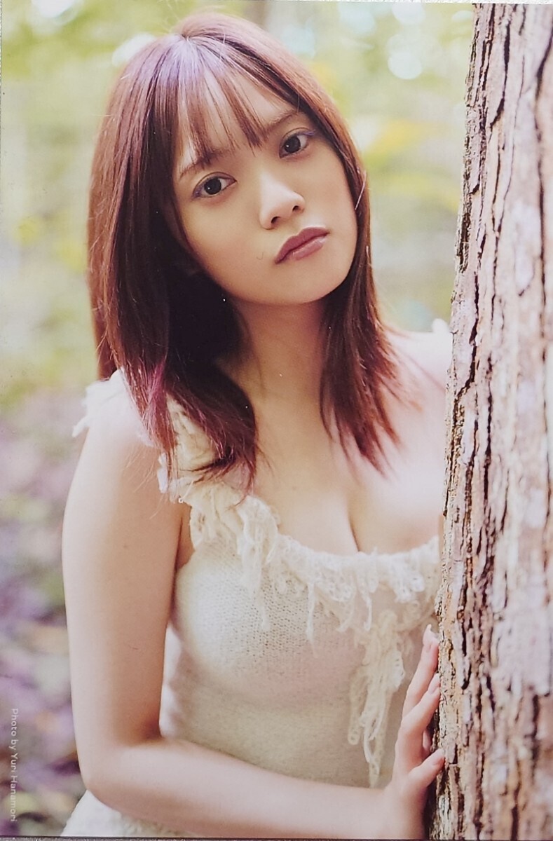 日向坂46 宮田愛萌 写真集『Lilas』 封入ポストカード＋A5判ビジュアル