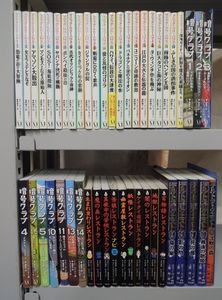 マジック・ツリーハウスの値段と価格推移は？｜40件の売買データから