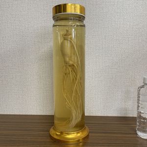 高麗人参 酒のYahoo!オークション(旧ヤフオク!)の相場・価格を見る