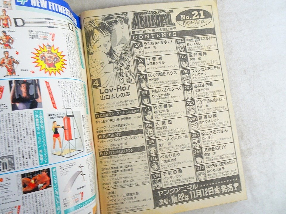 ヤングアニマル YOUNG ANIMAL 1993年11/12 No.21 / 三浦建太郎