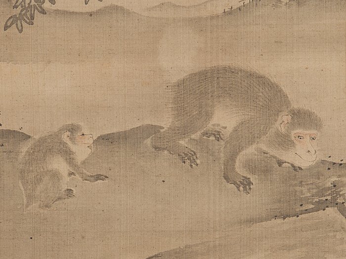 五】沖探容 『群猿図』 絹本 肉筆 掛軸 箱付 真作(花鳥、鳥獣)｜売買