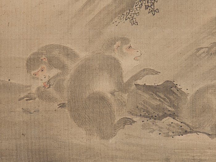 五】沖探容 『群猿図』 絹本 肉筆 掛軸 箱付 真作(花鳥、鳥獣)｜売買