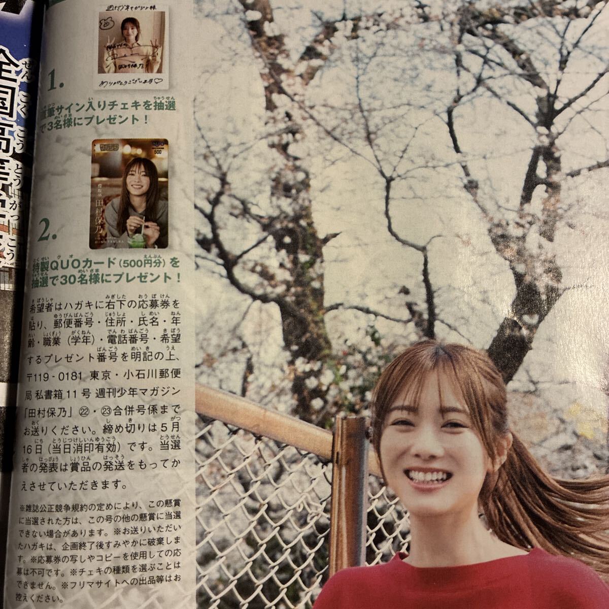 週刊少年マガジン 2026年 22・23合併号 応募券 合計4枚 櫻坂46 田村保